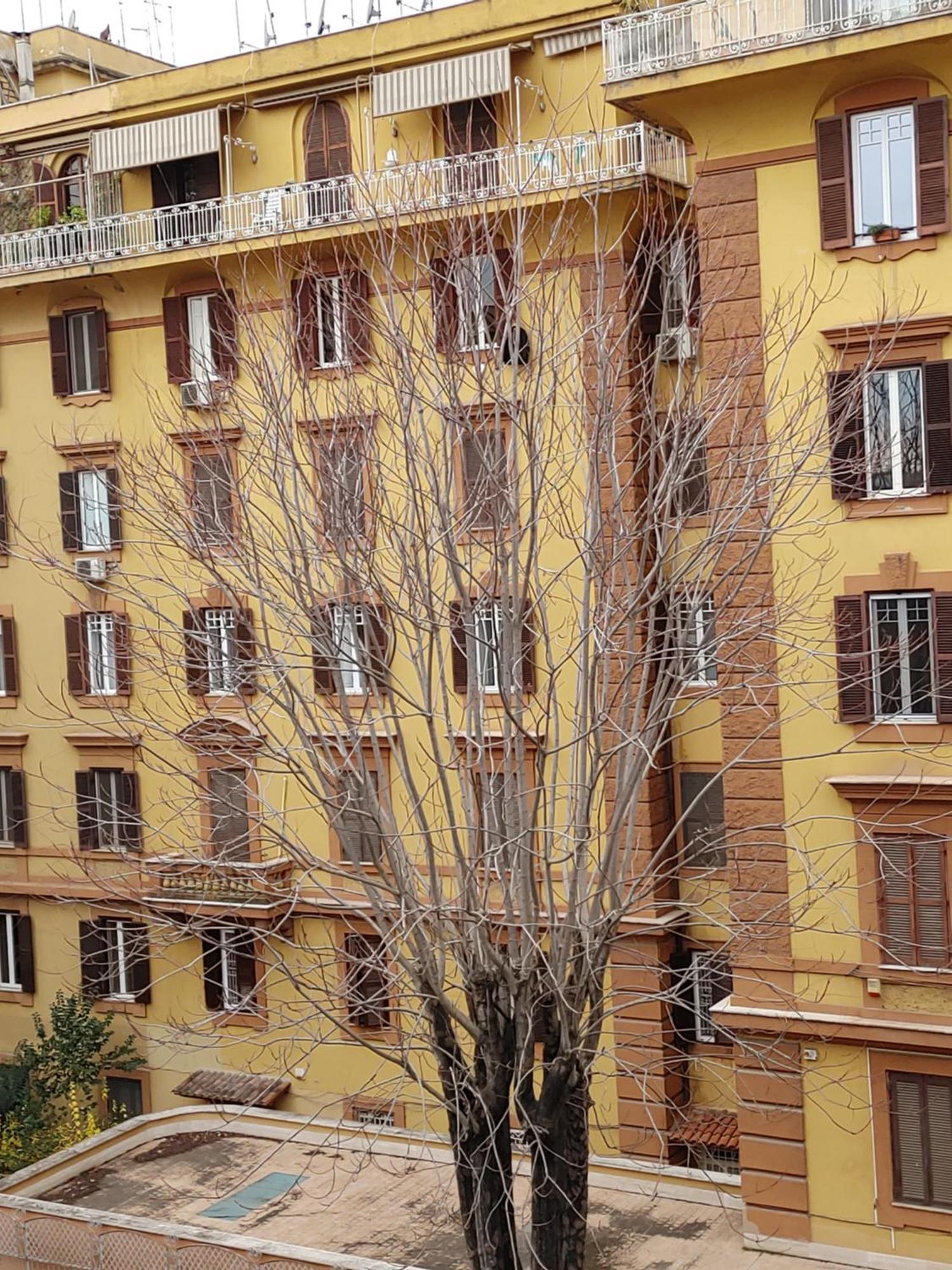 Studio Flat Trastevere Roma Exterior foto